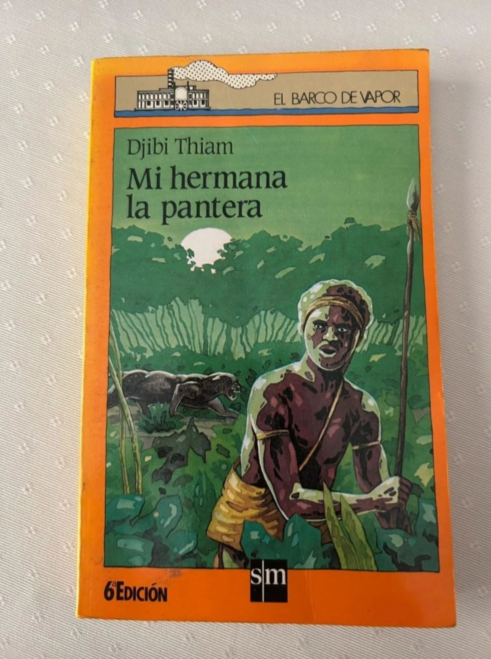Libro: mi hermana la pantera